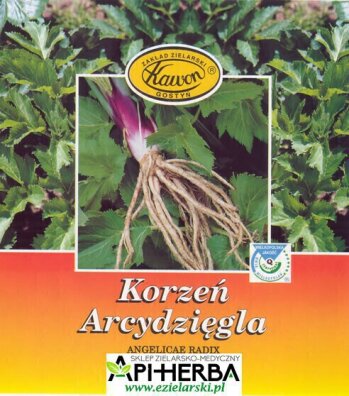 Korzeń Arcydzięgla 50g. Kawon