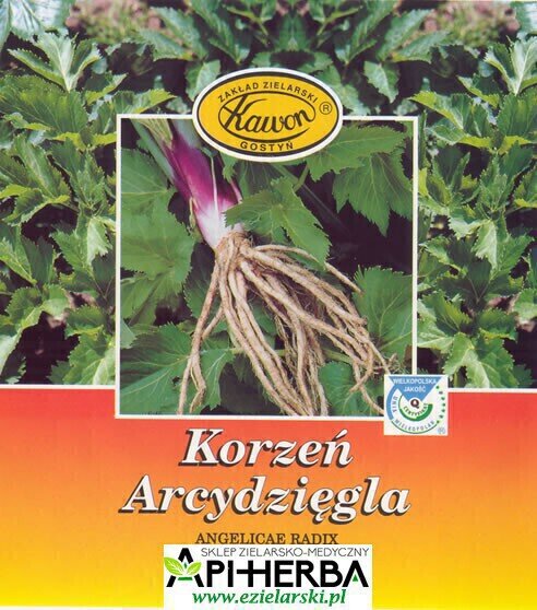 Korzeń Arcydzięgla 50g. Kawon (1)