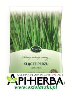 Kłącze Perzu 50g. Kawon (1)