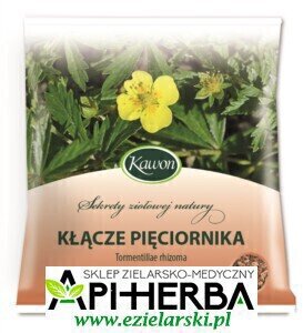 Kłącze Pięciornika 50g. Kawon