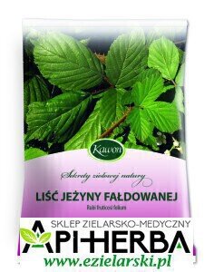 Liść Jeżyny Fałdowanej 50g. Kawon (1)
