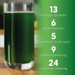  Power Greens 450g Natures Sunshine NSP