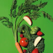  Power Greens 450g Natures Sunshine NSP